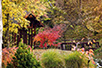 The Japanese garden in the Great Park in Vrnjačka Banja (Photo: Tourist Organization of Vrnjačka Banja)